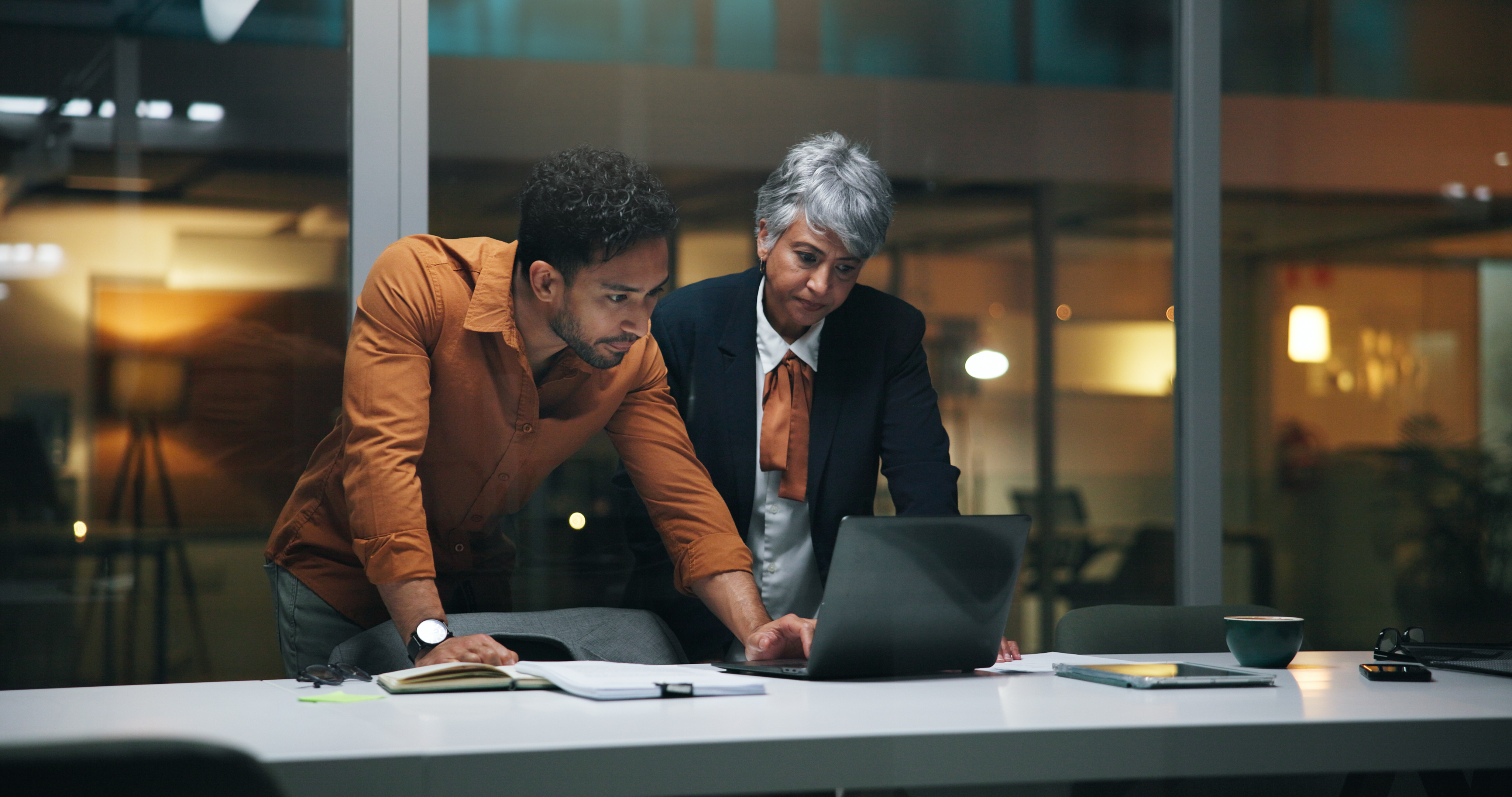 Professional consultation environment